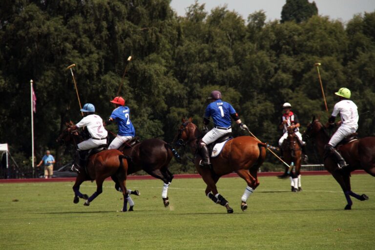 Equestrian Polo